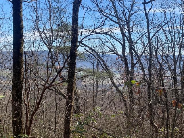Land for sale in Tennessee