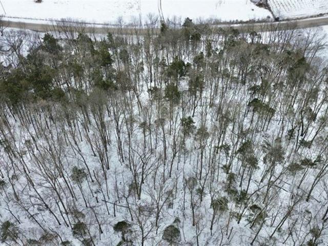 Land for sale in Oakland, Kentucky