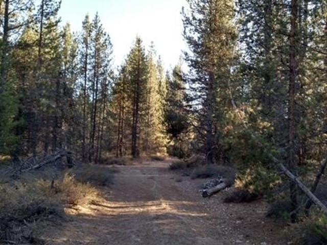 Land for sale in Chemult, Klamath County