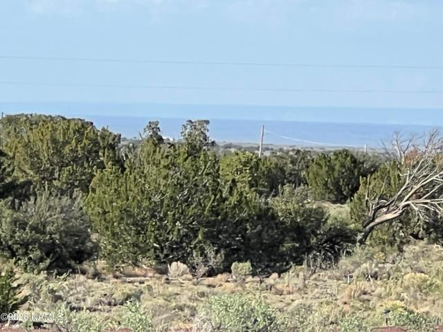 Land for sale in Williams, Arizona