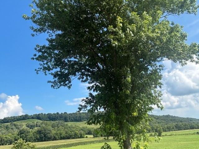 Property for rent in Tennessee
