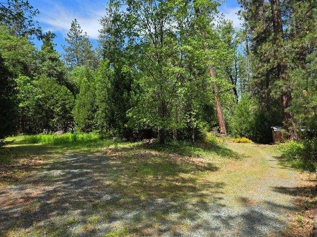 Land for sale in Wilseyville, California