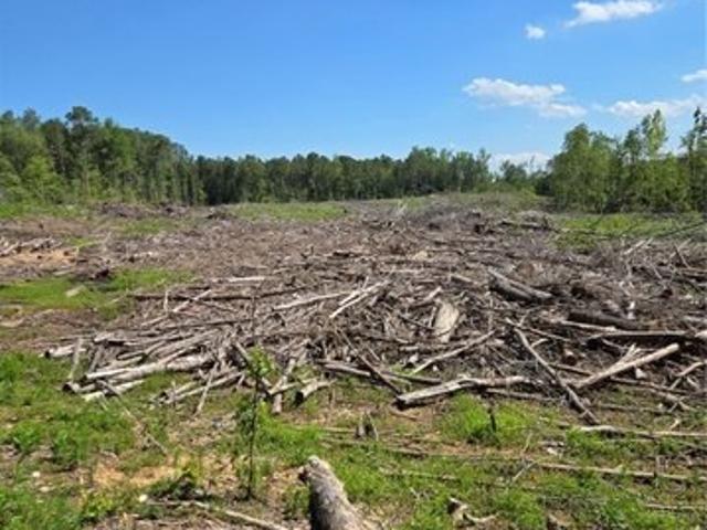 Land for sale in Charles City, Charles City County