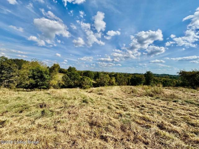 Land for sale in Manton, Springfield