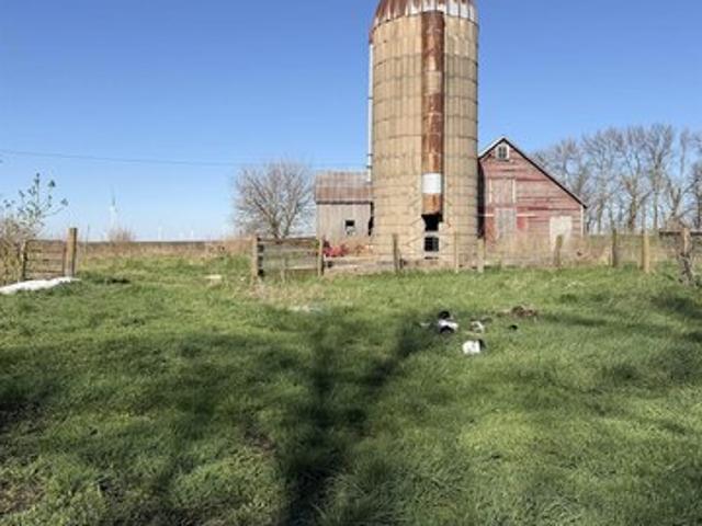 Land for sale in Buffalo Center, Iowa