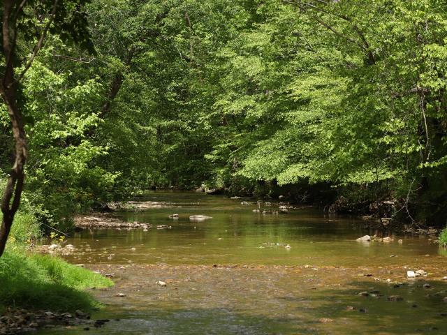 Farm for sale in Tennessee