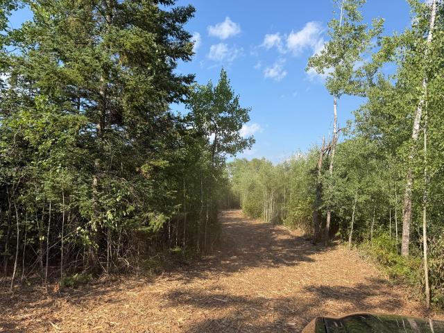 Land for sale in Minnesota