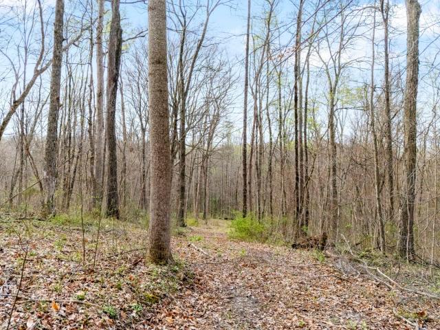 Land for sale in North Vernon, Indiana