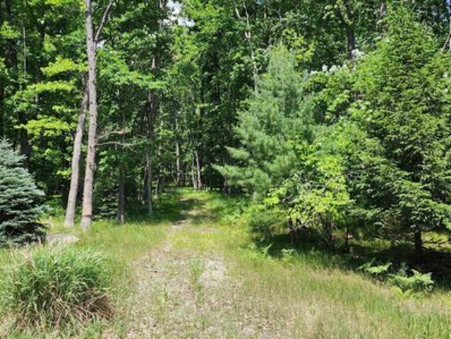 Land for sale in Clare, Michigan