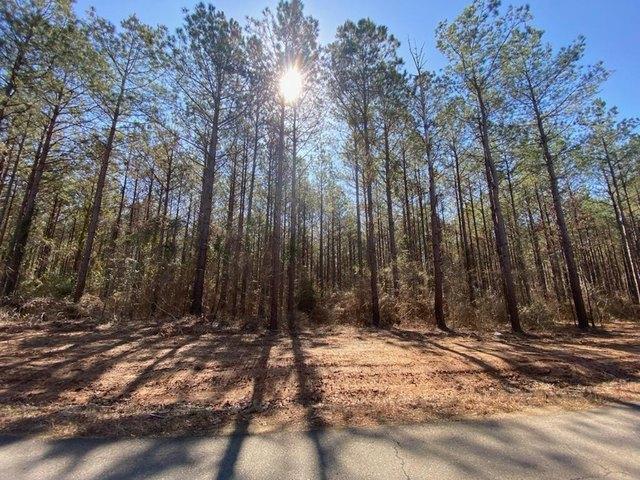 Land for sale in Haughton, Louisiana
