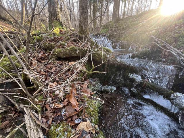 Land for sale in Denver, New York