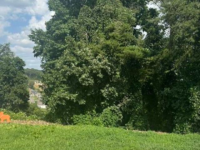 Land for sale in Tennessee