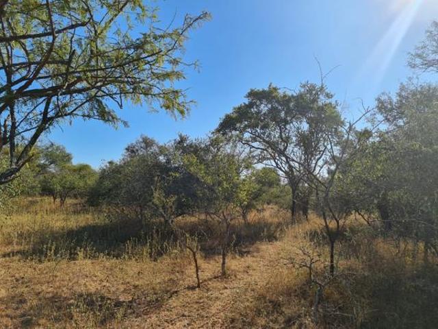 Land for sale in Ehlanzeni, Mpumalanga