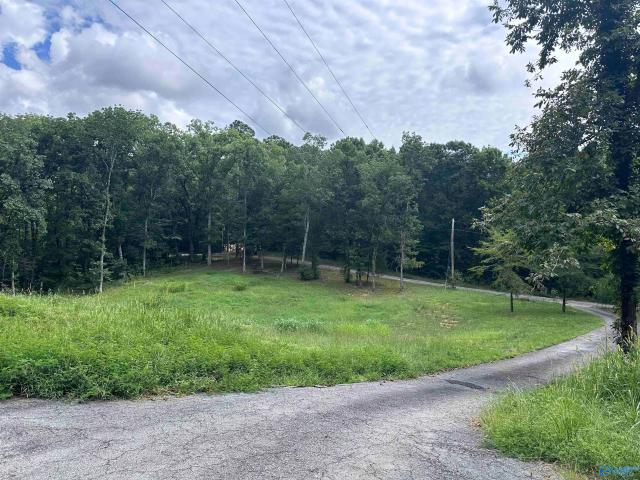 House for sale in Somerville, Alabama