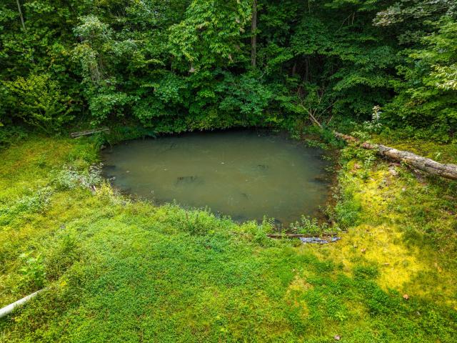 Land for sale in Monticello, Kentucky
