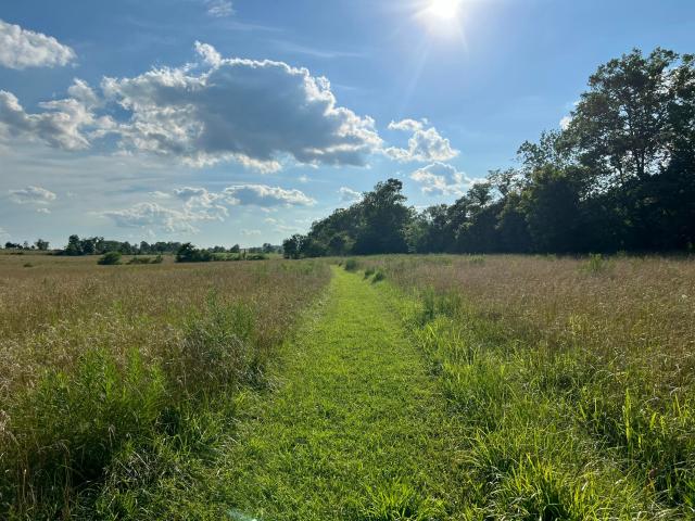 House for sale in Mountain Grove, Missouri