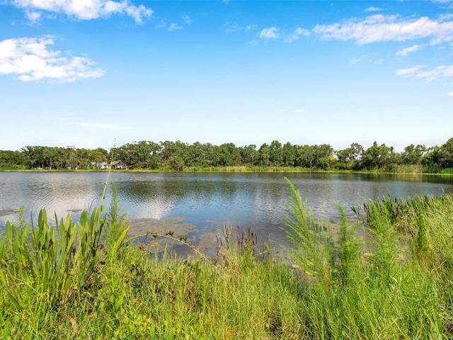Property for rent in Land O Lakes, Florida