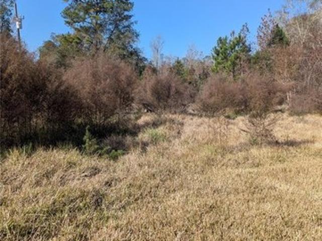Land for sale in Alachua, Florida
