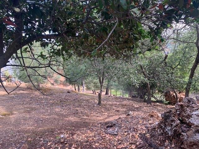 Land for sale in California