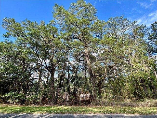 Land for sale in Earleton, Florida