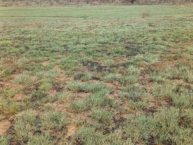 Farm for sale in Zeerust, North West