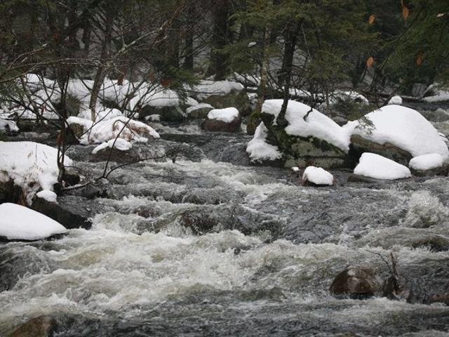 Land for sale in Tamworth, Carroll County