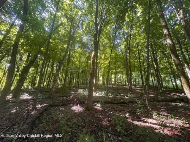 House for sale in Ancram, New York