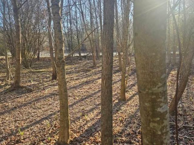 Land for sale in Jefferson, Georgia