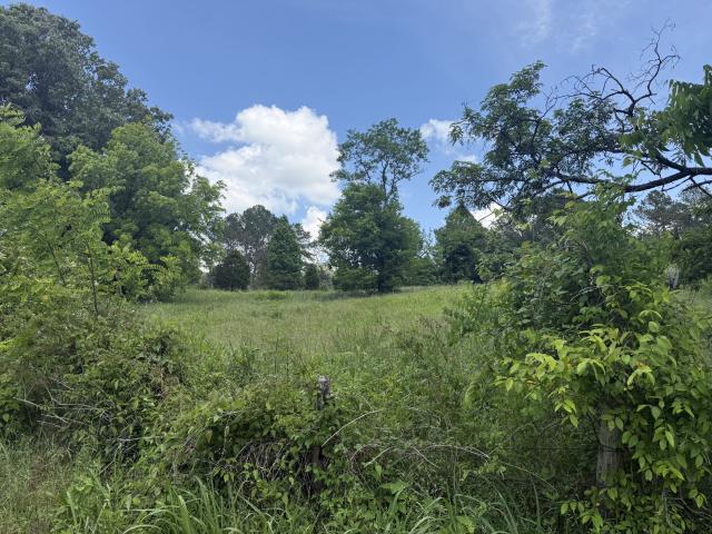 Land for sale in Tennessee