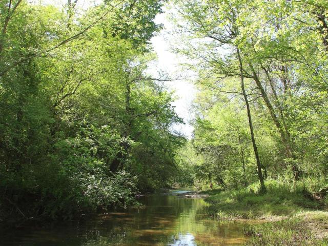 House for sale in Ashville, Alabama