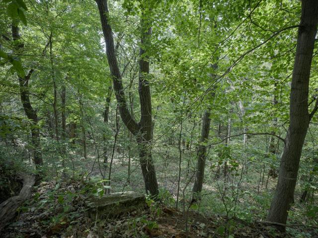 Land for sale in Illinois