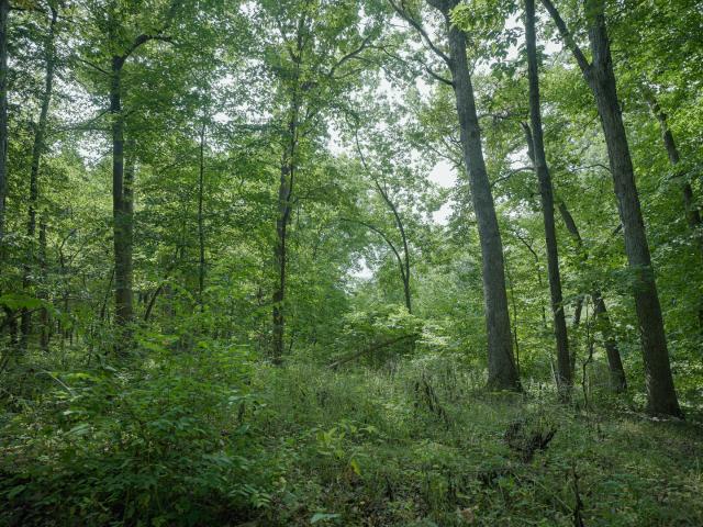 Land for sale in Hanover, Illinois