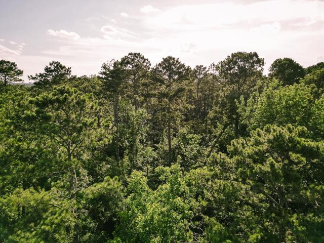 Land for sale in Evans Land for sale in Evans