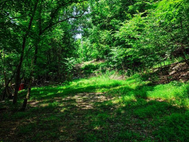 Land for sale in Tennessee