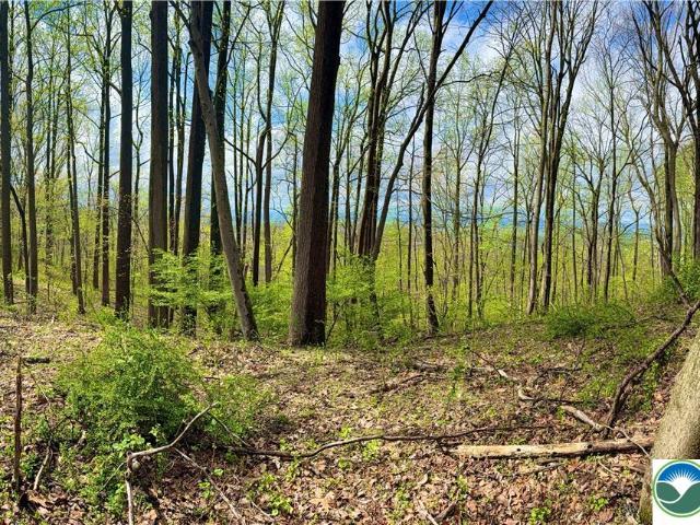 House for sale in Lehigh, Pennsylvania