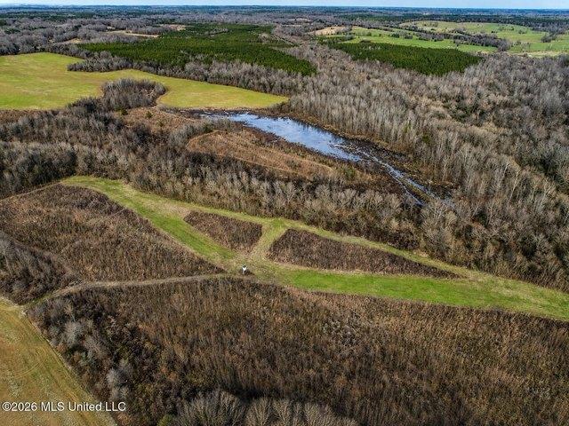 Land for sale in Pickens, Mississippi