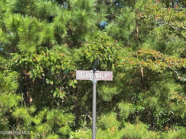 Land for sale in Jinnys Branch, Shallotte