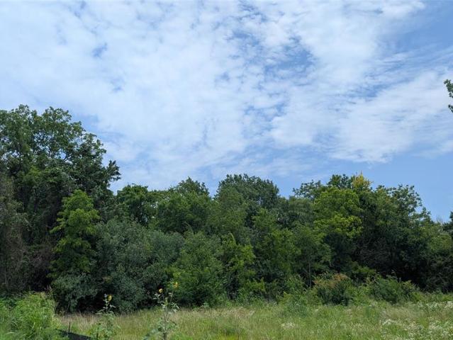 Land for sale in Denison, Texas