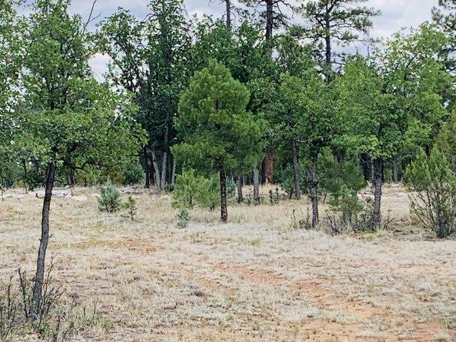 Land for sale in Happy Jack, Arizona