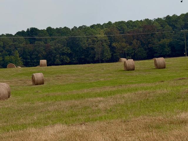 House for sale in Sharon, Crawfordville