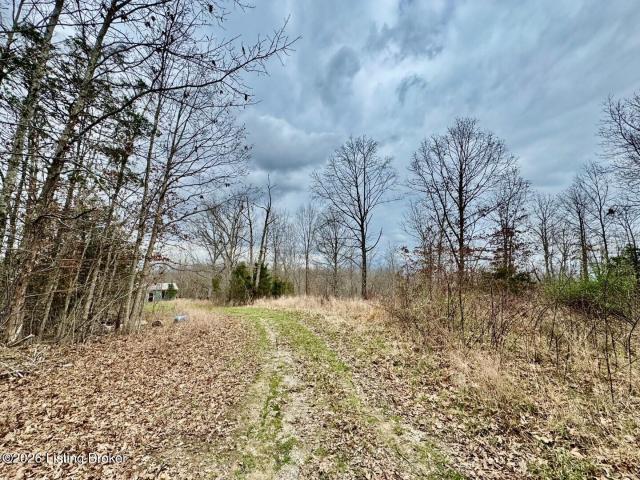 Land for sale in Willisburg, Kentucky