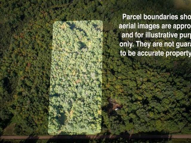 Land for sale in Hinckley, Pine County