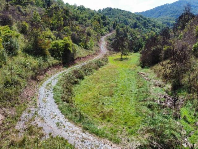 Land for sale in Tazewell, Tazewell County