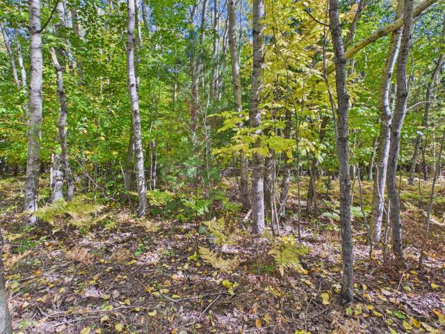 Land for sale in Arbor Grove, Long Lake Township