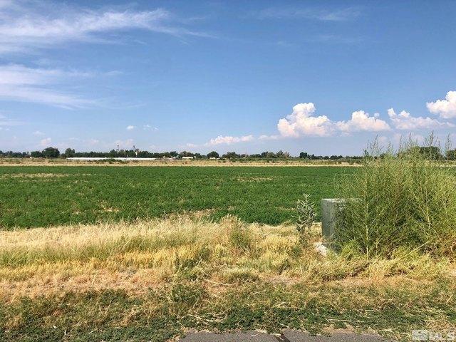 Land for sale in Fallon, Nevada