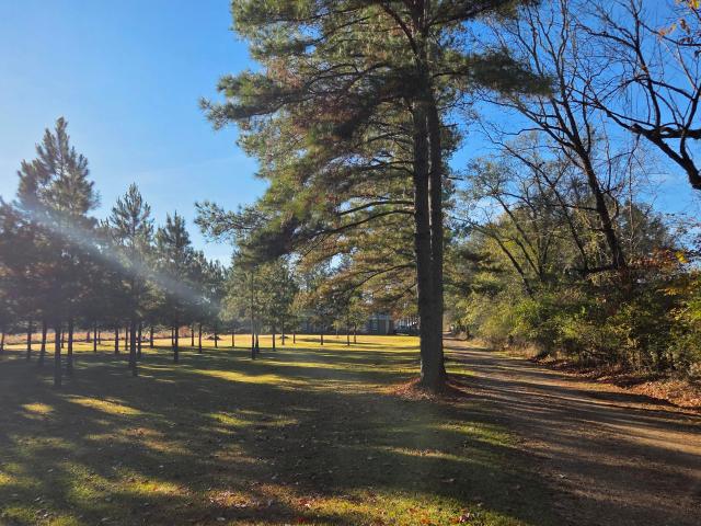 House for sale in Utica, Mississippi