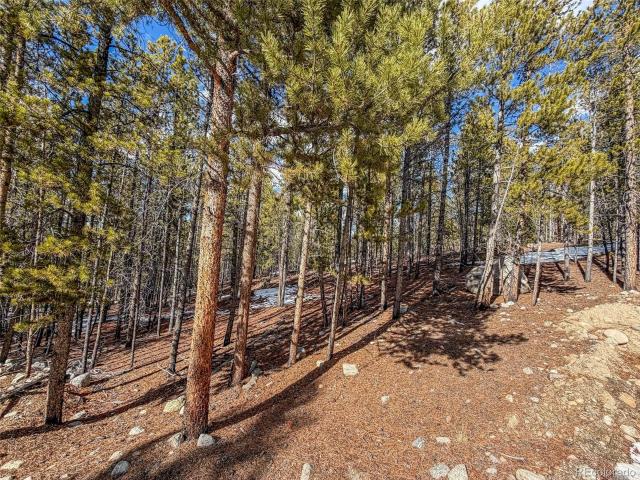 Land for sale in Twin Lakes, Colorado