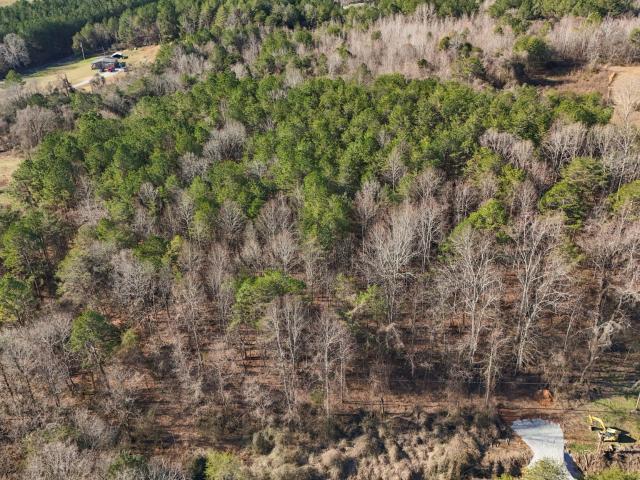 Land for sale in Chickamauga, Georgia