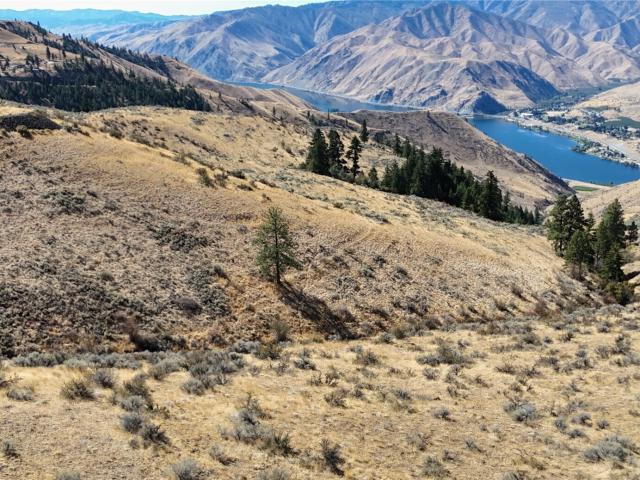 Land for sale in Waterville, Washington