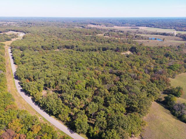 Land for sale in Punkin Center, Higbee